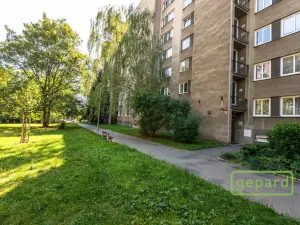 Pronájem bytu 1+1, Praha, Svojšovická, 28 m2