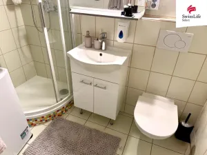Pronájem bytu 1+1, Plzeň, Květná, 40 m2