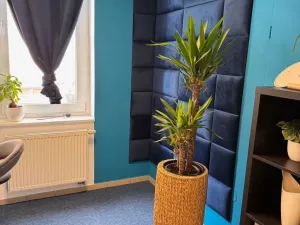 Pronájem obchodního prostoru, Jablonec nad Nisou, Komenského, 50 m2