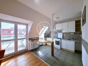 Pronájem bytu 1+kk, Bílovice nad Svitavou, Šebelova, 51 m2