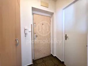 Pronájem bytu 1+kk, Bílovice nad Svitavou, Šebelova, 51 m2