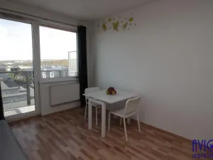 Pronájem bytu 1+kk, Praha - Vysočany, Freyova, 34 m2