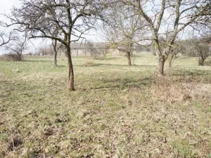 Prodej pozemku pro bydlení, Brzice - Proruby, Brzice, 1 m2