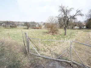 Prodej pozemku pro bydlení, Brzice - Proruby, Brzice, 1 m2