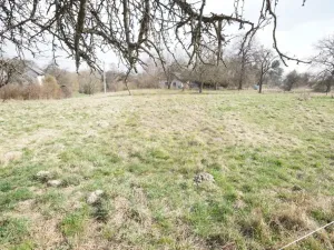 Prodej pozemku pro bydlení, Brzice - Proruby, Brzice, 1 m2