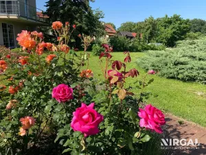 Prodej vícegeneračního domu, Jílové u Prahy, 952 m2