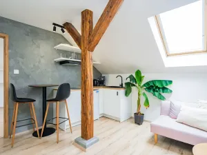 Prodej bytu 2+kk, Praha - Žižkov, 36 m2