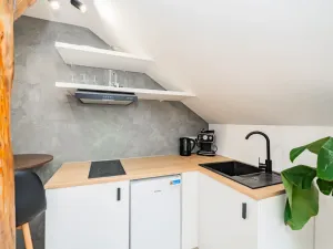 Prodej bytu 2+kk, Praha - Žižkov, 36 m2