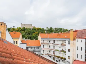 Prodej bytu 2+kk, Praha - Žižkov, 36 m2