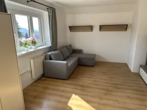 Pronájem bytu 1+1, Velké Hamry, 41 m2