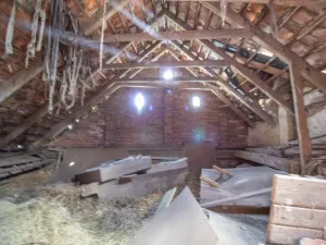 Prodej chalupy, Malý Bor, 290 m2