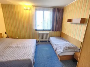 Prodej ubytování, Janov nad Nisou, 1047 m2