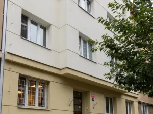 Pronájem bytu 1+kk, Praha - Žižkov, Biskupcova, 28 m2