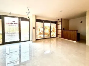 Prodej obchodního prostoru, Praha - Karlín, Za Karlínským přístavem, 73 m2