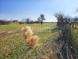 Prodej zahrady, Znojmo - Přímětice, 2719 m2