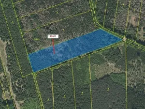 Dražba lesa, Břehov, 13807 m2