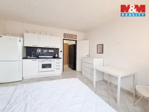 Pronájem bytu 1+kk, Karlovy Vary - Drahovice, Gagarinova, 20 m2