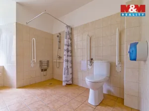 Pronájem bytu 1+kk, Vlčice, 41 m2