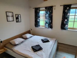 Prodej rodinného domu, Orlické Záhoří, 184 m2