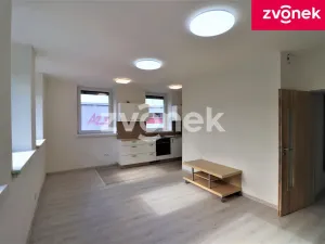 Pronájem bytu 1+kk, Valašské Klobouky, 35 m2