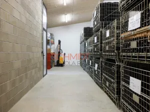 Prodej obchodního prostoru, Břeclav, Pyskatého, 146 m2