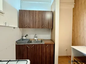 Pronájem bytu 2+1, Brno - Staré Brno, Ypsilantiho, 44 m2