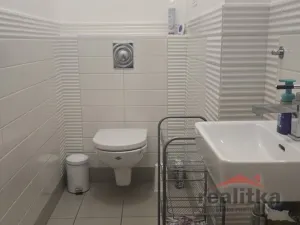 Pronájem bytu 3+1, Opava - Předměstí, Gudrichova, 139 m2