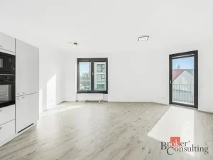 Pronájem bytu 2+kk, Plzeň - Jižní Předměstí, Železná, 52 m2