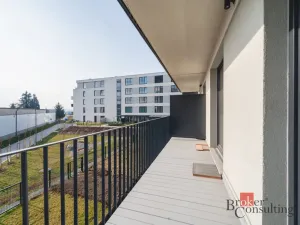 Pronájem bytu 2+kk, Plzeň - Jižní Předměstí, Železná, 52 m2