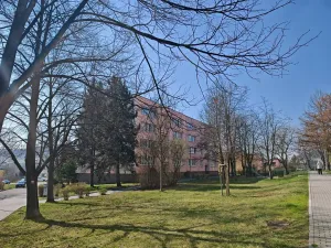 Pronájem bytu 1+1, Nový Jičín, Dlouhá, 35 m2
