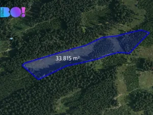 Prodej lesa, Jasenná, 58310 m2