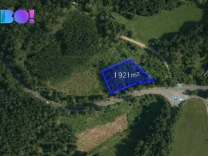 Prodej lesa, Jasenná, 58310 m2