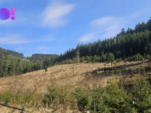 Prodej lesa, Jasenná, 58310 m2
