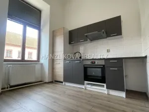 Pronájem bytu 1+kk, České Budějovice - České Budějovice 6, Žižkova tř., 47 m2