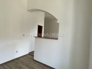 Pronájem bytu 1+kk, České Budějovice - České Budějovice 6, Žižkova tř., 47 m2