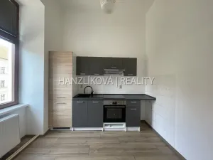 Pronájem bytu 1+kk, České Budějovice - České Budějovice 6, Žižkova tř., 47 m2