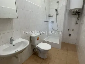 Pronájem bytu 1+kk, České Budějovice - České Budějovice 6, Žižkova tř., 47 m2