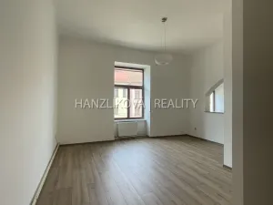 Pronájem bytu 1+kk, České Budějovice - České Budějovice 6, Žižkova tř., 47 m2