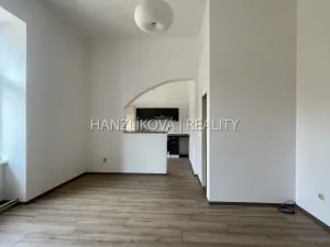 Pronájem bytu 1+kk, České Budějovice - České Budějovice 6, Žižkova tř., 47 m2