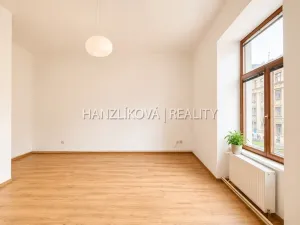 Pronájem bytu 1+1, České Budějovice - České Budějovice 6, Žižkova tř., 47 m2