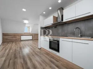 Prodej rodinného domu, Děčín, Březová, 347 m2