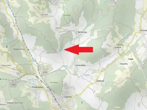 Prodej lesa, Lomnička, 7166 m2