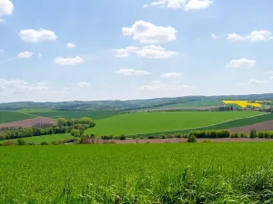 Prodej pozemku pro bydlení, Bučovice, 3623 m2