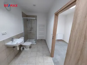Pronájem obchodního prostoru, Slavkov u Brna, 200 m2