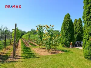 Prodej zahrady, Mikulov, 997 m2