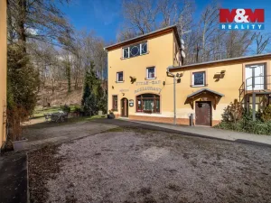 Pronájem restaurace, Domažlice - Dolejší Předměstí, Chrastavická, 300 m2