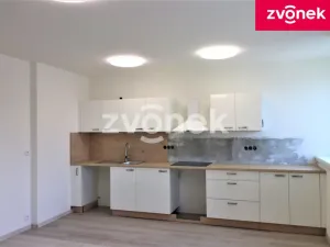 Pronájem bytu 2+kk, Valašské Klobouky, 74 m2