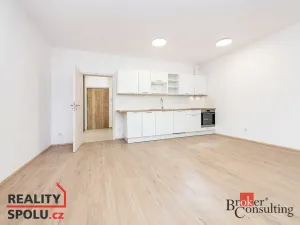 Prodej bytu 1+kk, Plzeň - Jižní Předměstí, Železná, 40 m2