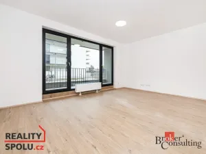 Prodej bytu 1+kk, Plzeň - Jižní Předměstí, Železná, 40 m2