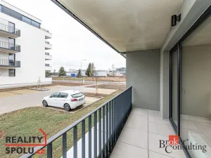 Prodej bytu 1+kk, Plzeň - Jižní Předměstí, Železná, 40 m2